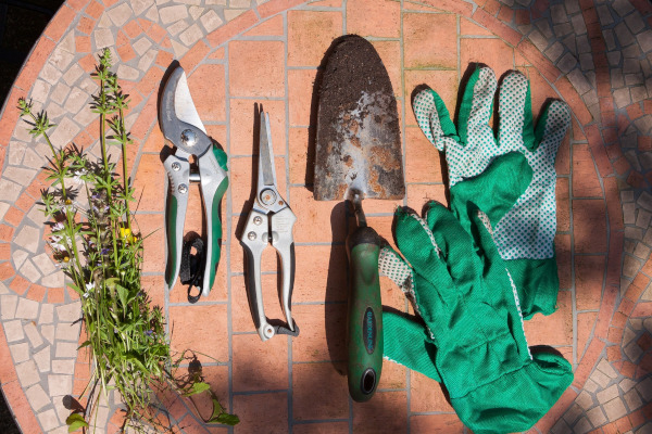 Outils de jardin / Pixabay